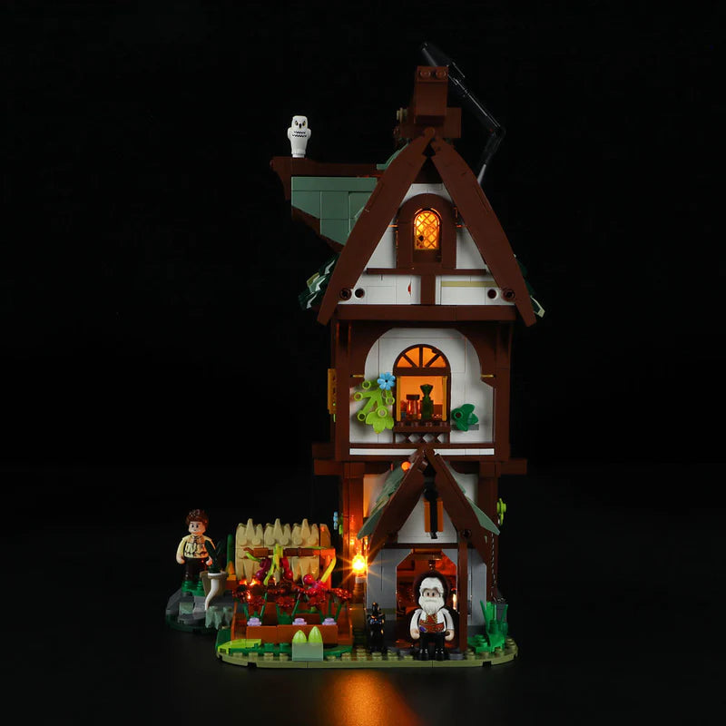 Lumibricks F9024 - Medieval Apothecary Shop - Mittelalterliche Apotheke