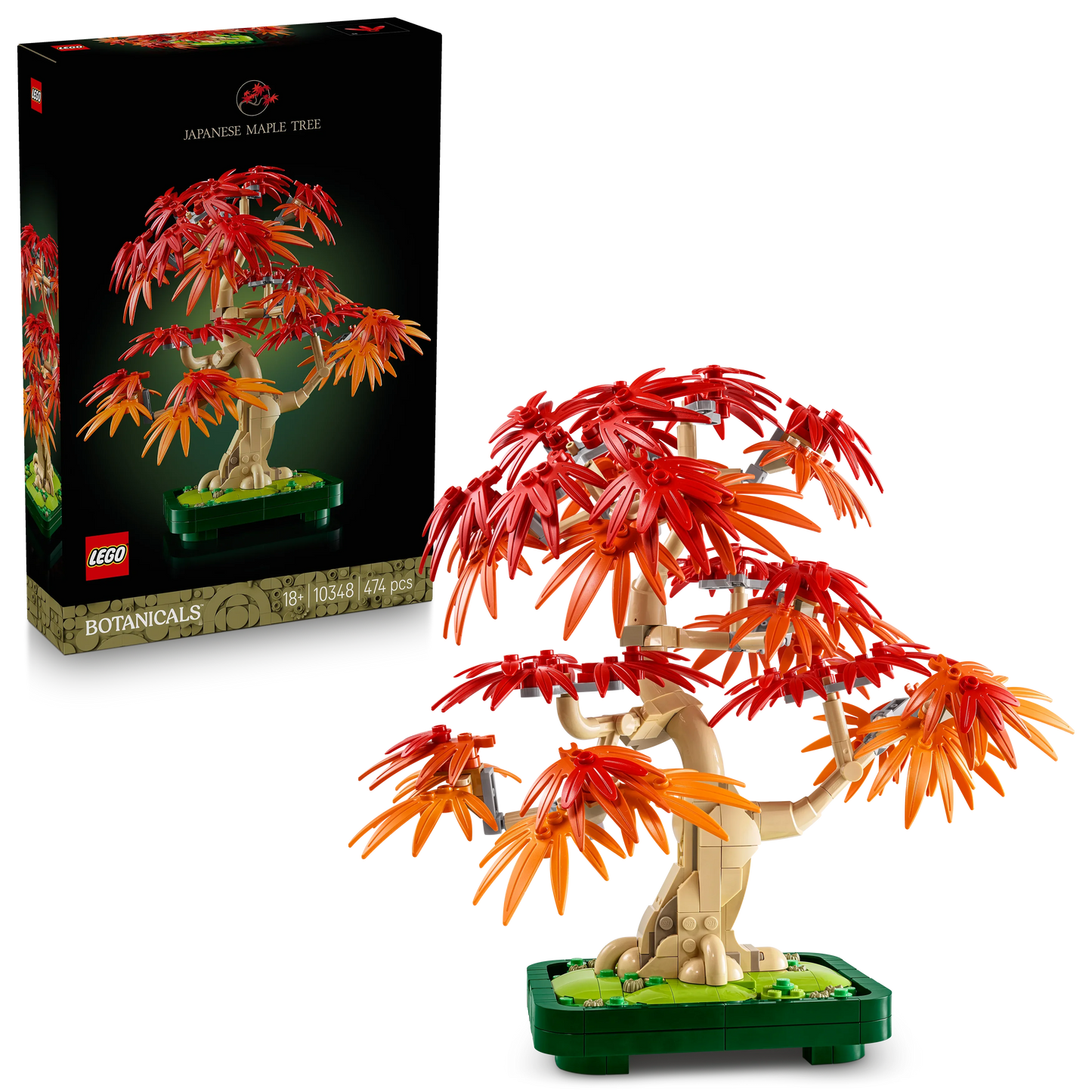 LEGO Botanicals Japanischer Roter Ahorn – Bonsai-Baum 10348