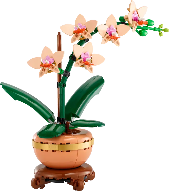 LEGO Botanicals Mini-Orchidee  10343