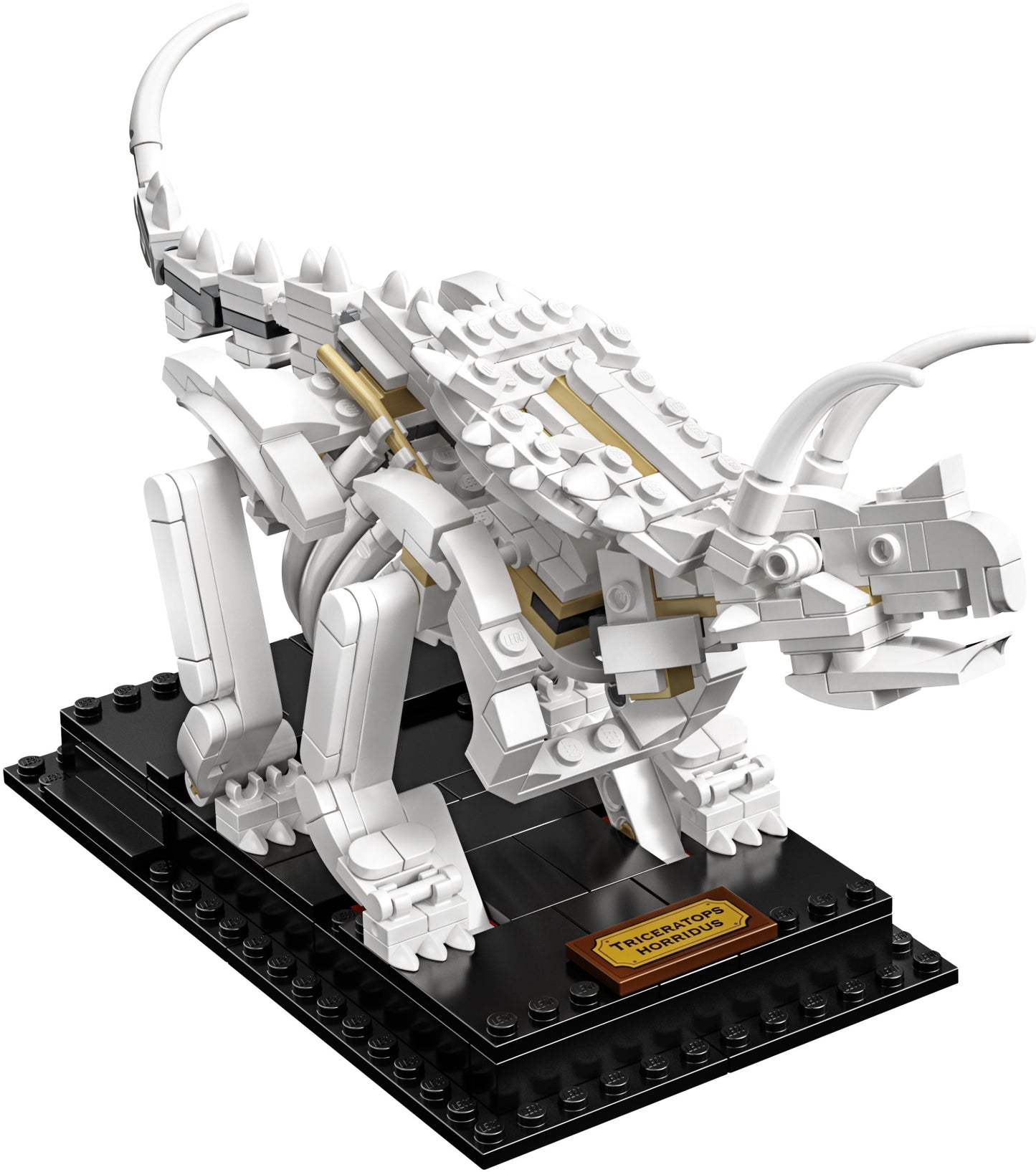 LEGO Ideas Dinosaurier-Fossilien 21320
