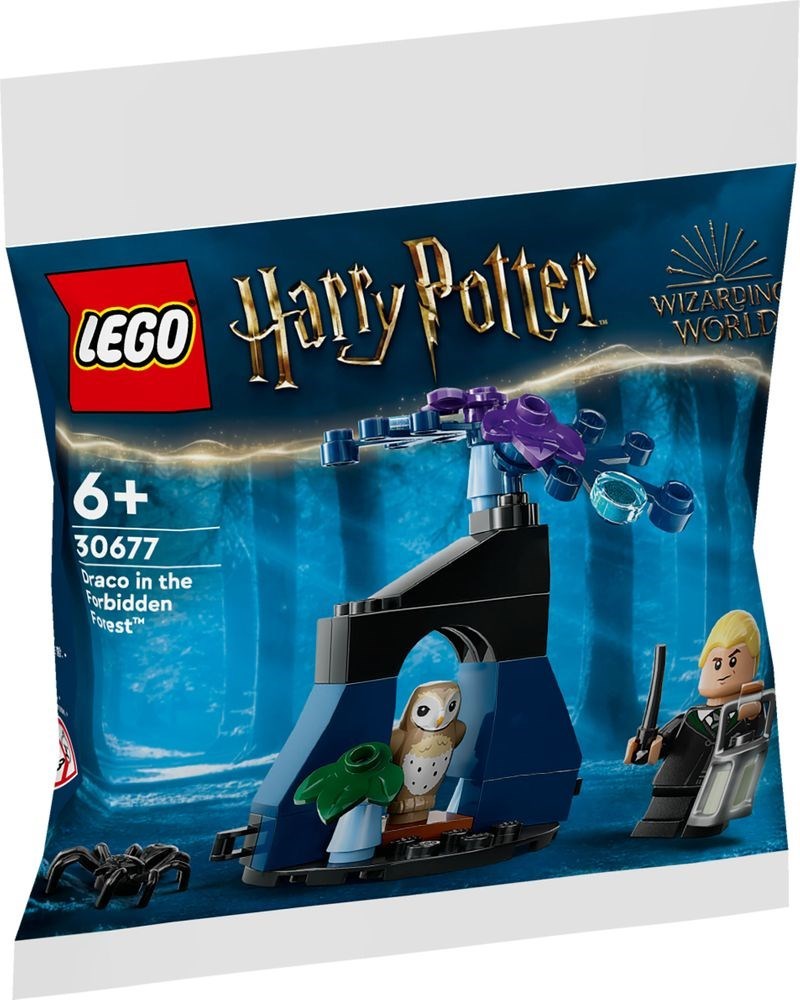 LEGO Harry Potter Draco im Verbotenen Wald Polybag 30677