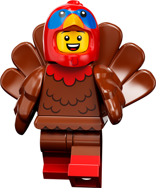 09 Costume da tacchino - 71034