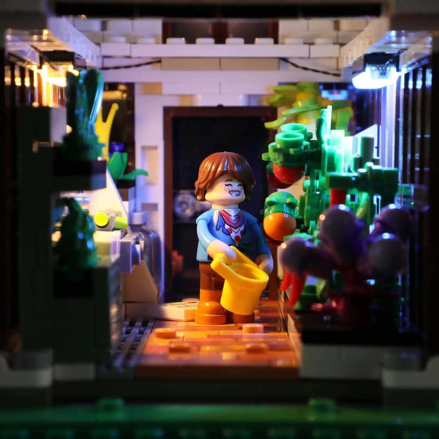 Lumibricks F9059 - Home Greenhouse - Heimgewächshaus