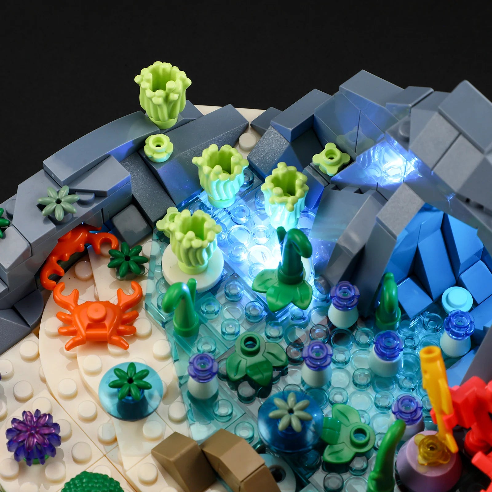 Lumibricks F9072 - Turtle Reef Dream - Schildkrötenriff-Traum