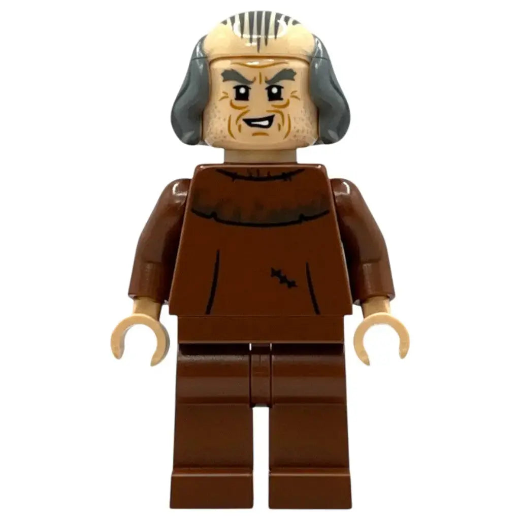 LEGO Harry Potter Minifigur Argus Filch - hp478